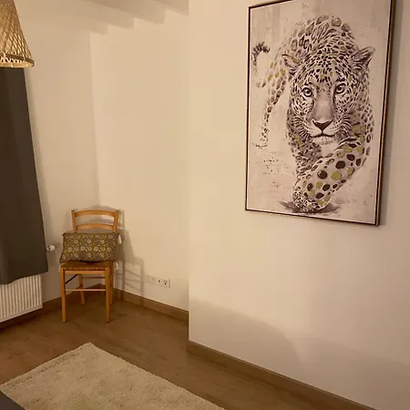 La Maison De L'olivier