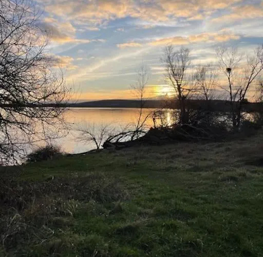 Holiday home La Maison De L'olivier